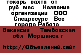 токарь. вахта. от 50 000 руб./мес. › Название организации ­ ООО Спецресурс - Все города Работа » Вакансии   . Тамбовская обл.,Моршанск г.